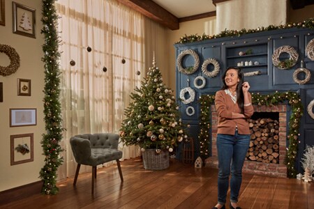 Christmas decorations
